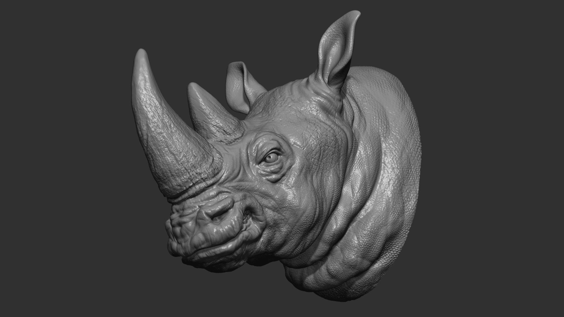 Rhinoceros grin head 3D print model_17