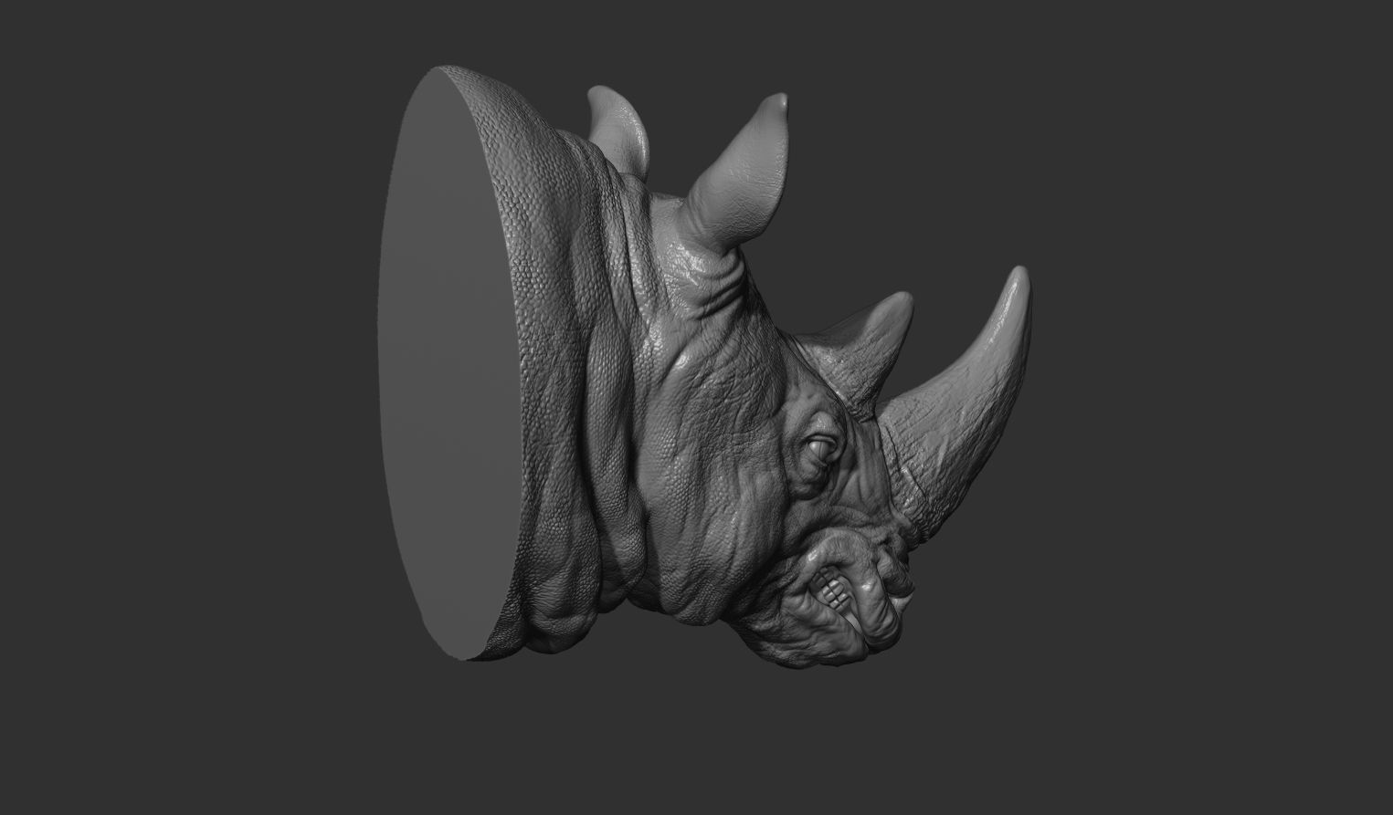 Rhinoceros grin head 3D print model_18