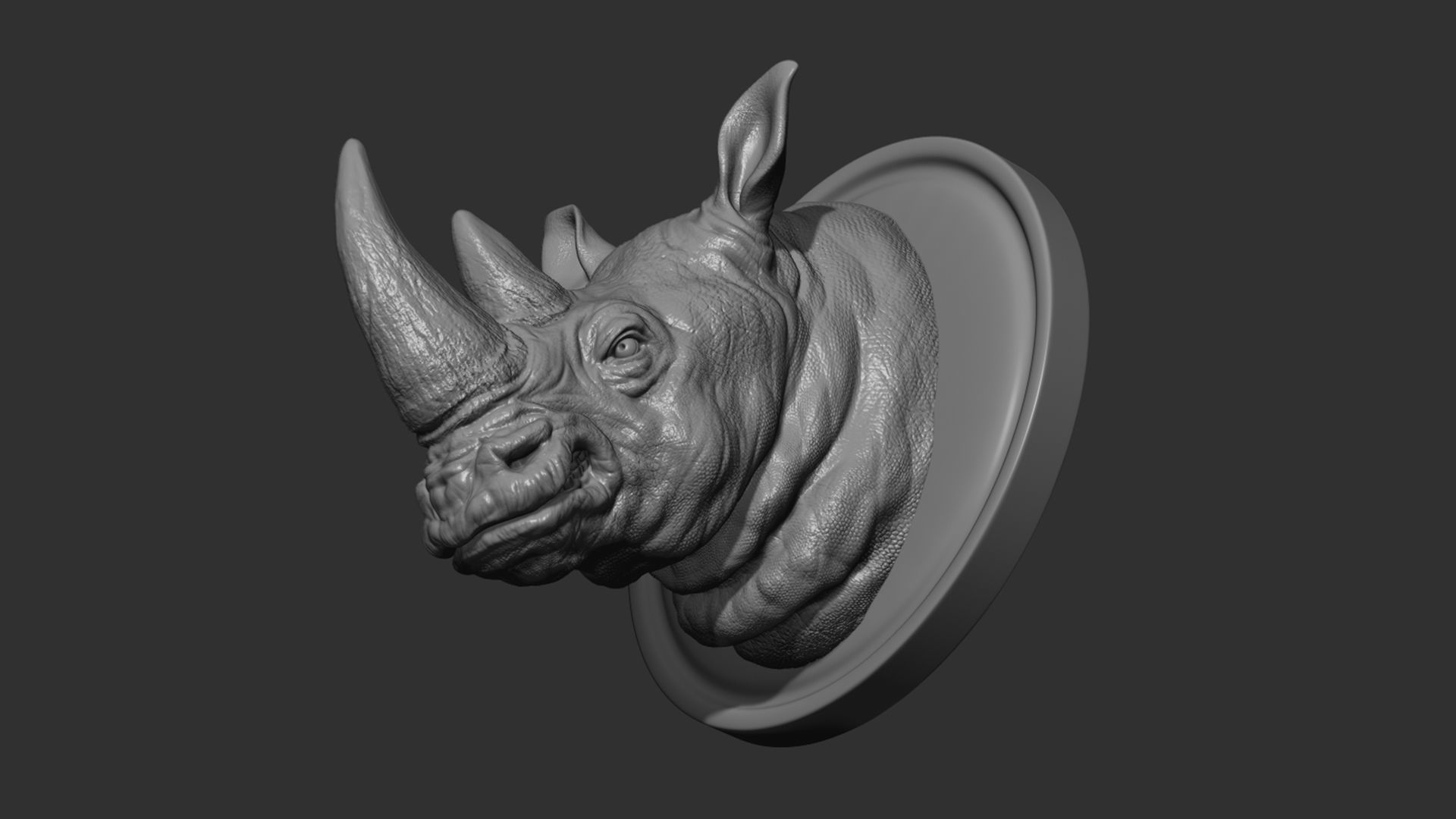 Rhinoceros grin head 3D print model_7