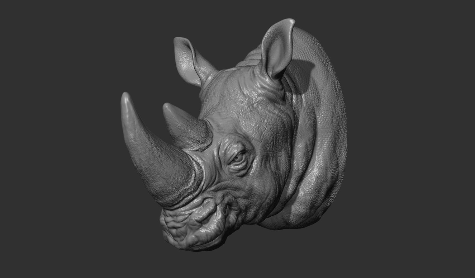 Rhinoceros grin head 3D print model_15