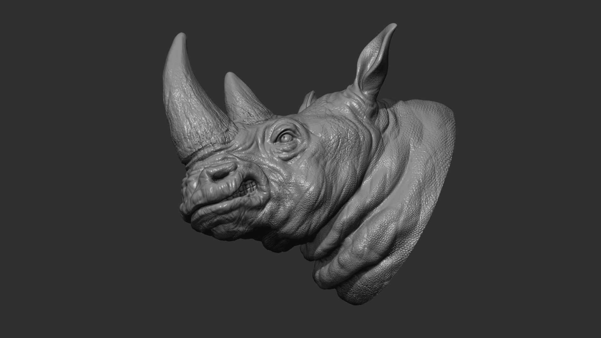 Rhinoceros grin head 3D print model_16