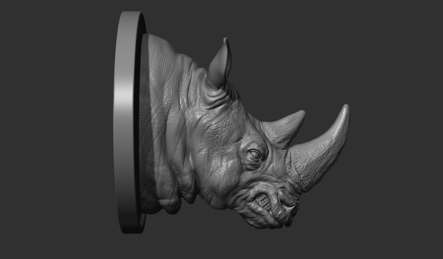 Rhinoceros grin head 3D print model_9