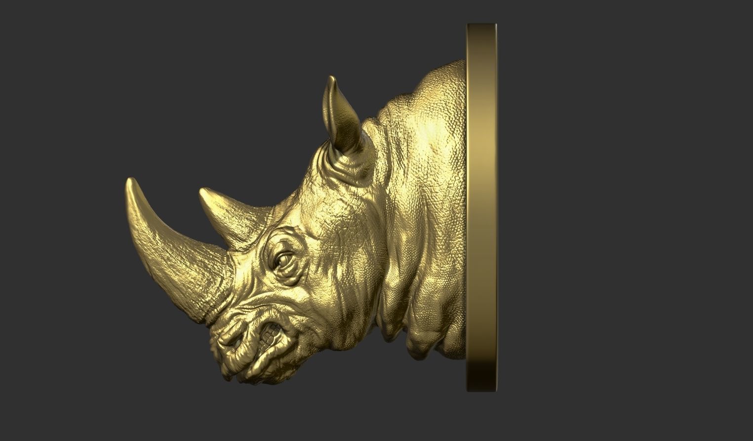 Rhinoceros grin head 3D print model_5