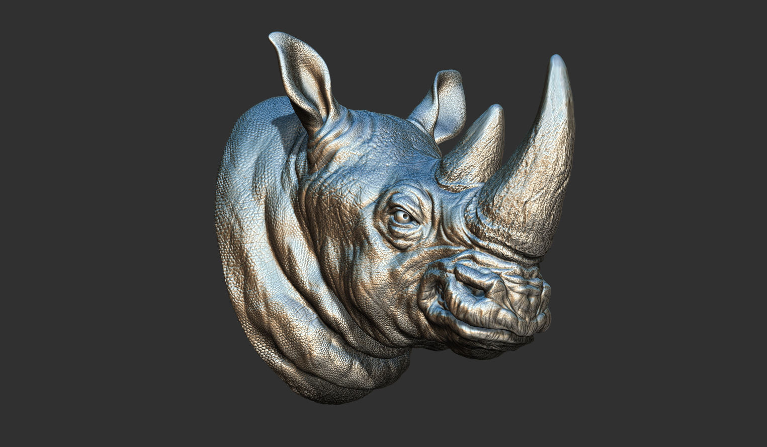 Rhinoceros grin head 3D print model_3