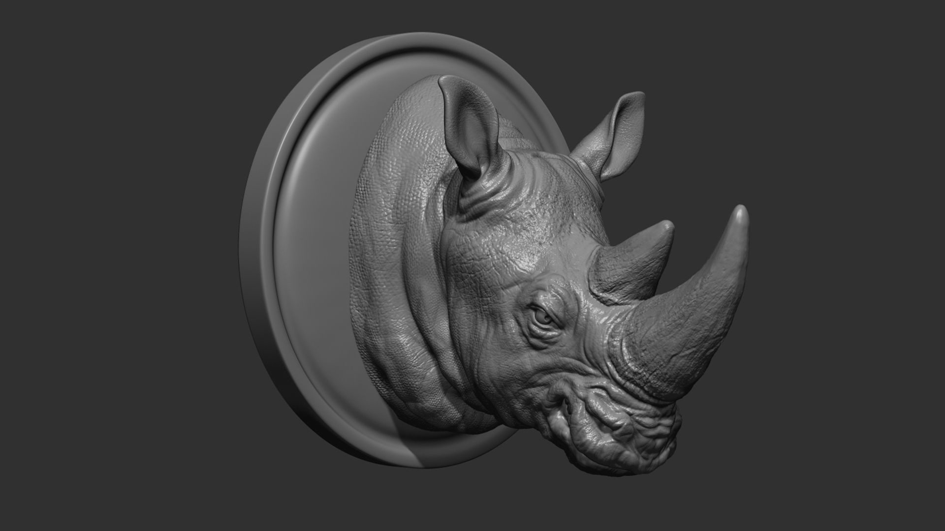Rhinoceros grin head 3D print model_11