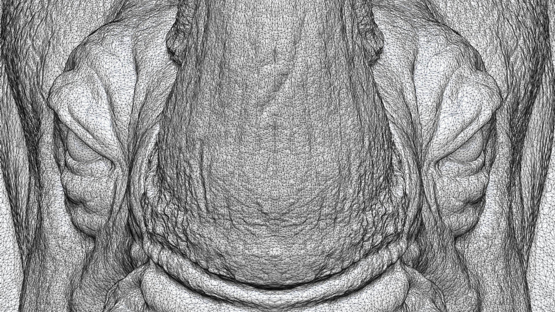 Rhinoceros grin head 3D print model_24