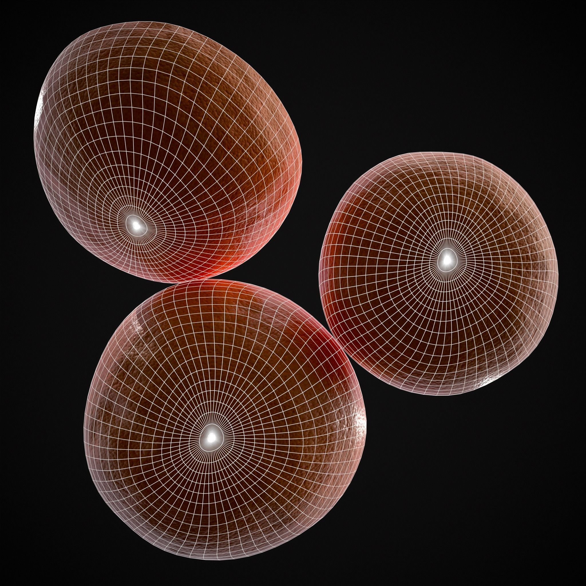 Navel Oranges Low-poly 3D model_18