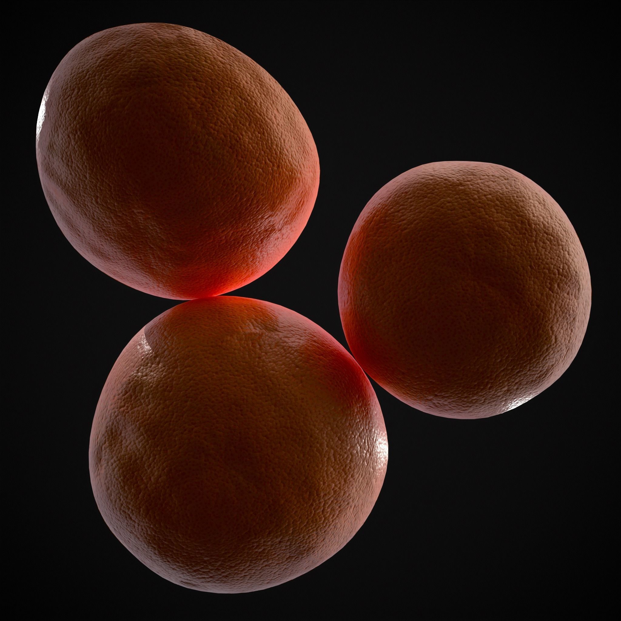 Navel Oranges Low-poly 3D model_17