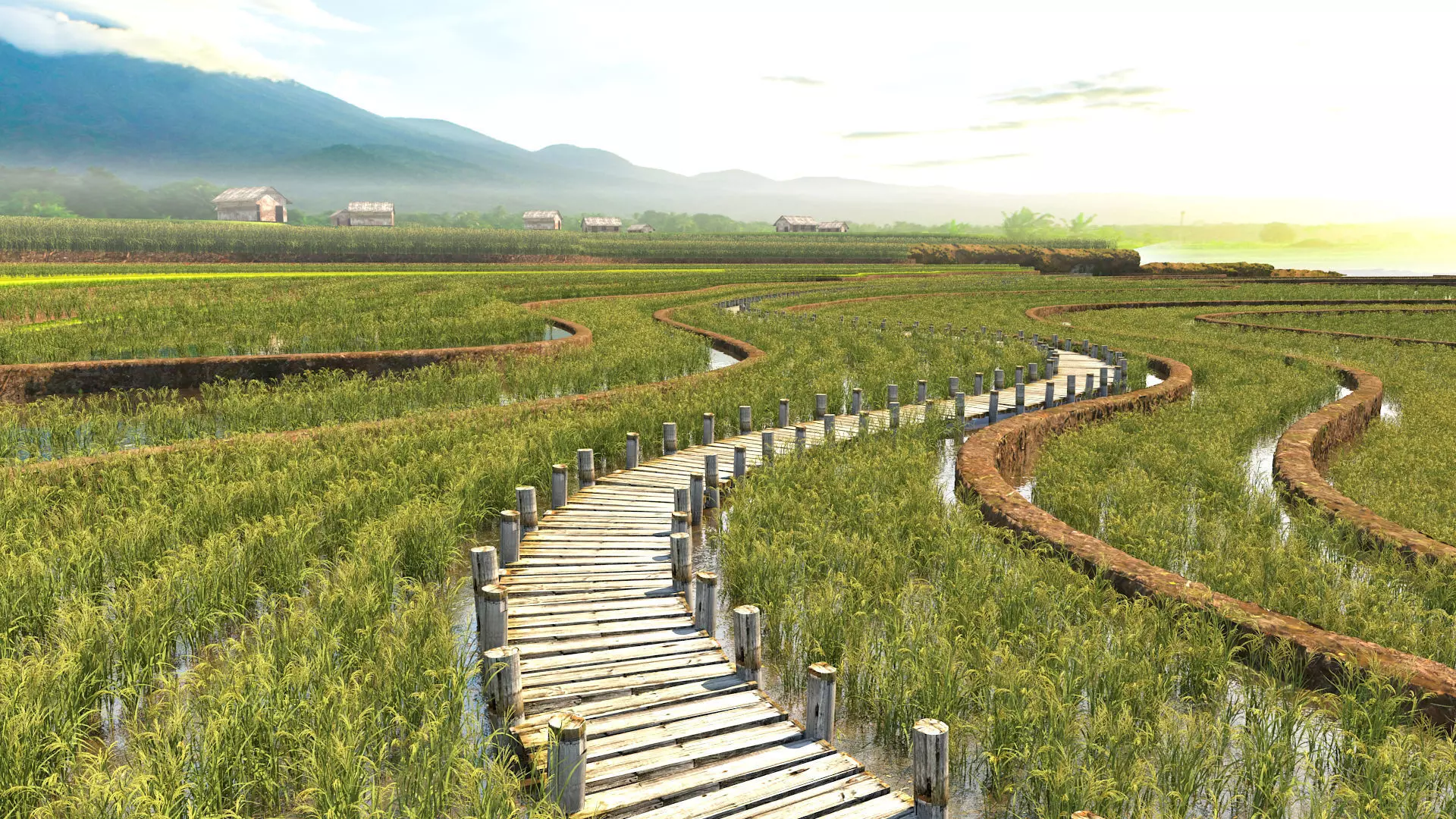 Paddy fields Rice wheat crops meter Terraced fields 3D model