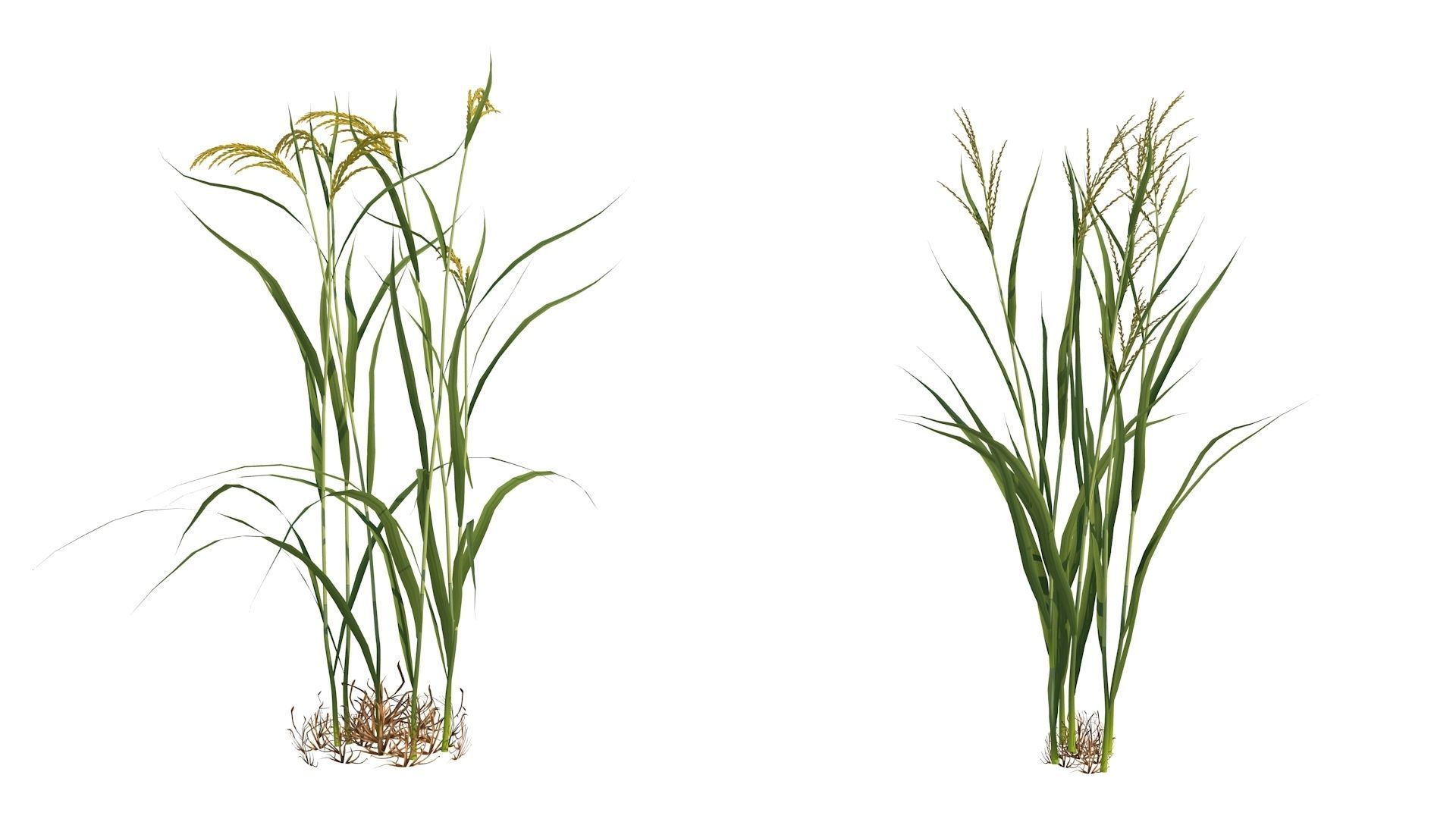 Paddy fields2 3D model_11