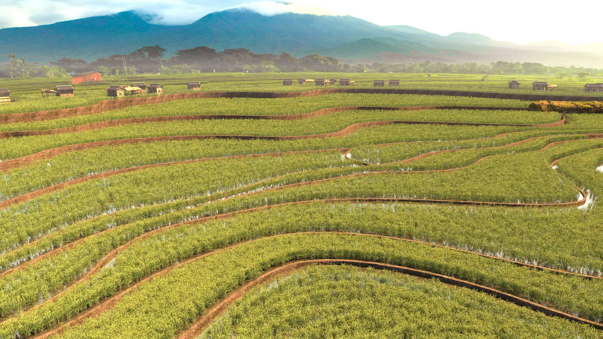 Paddy fields2 3D model_0