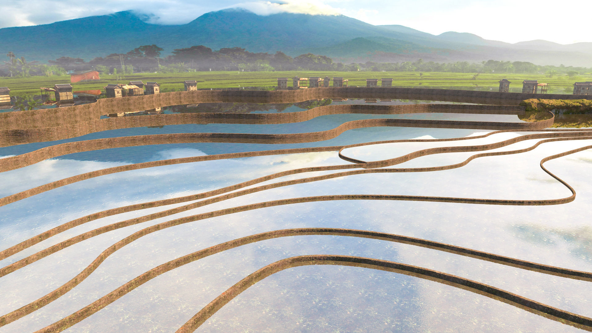 Paddy fields2 3D model_6