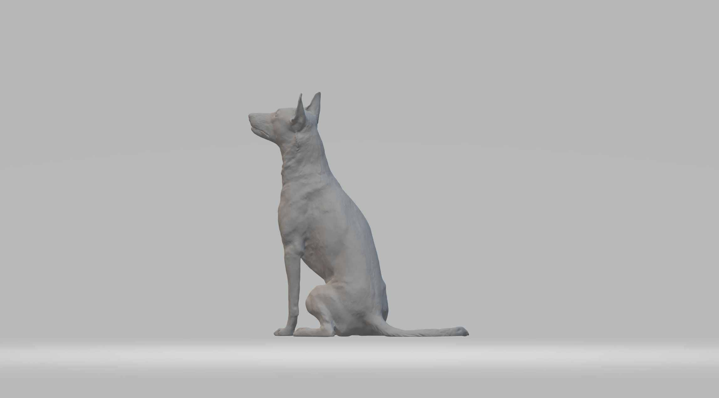 Pharaoh Hound 3D print model_9