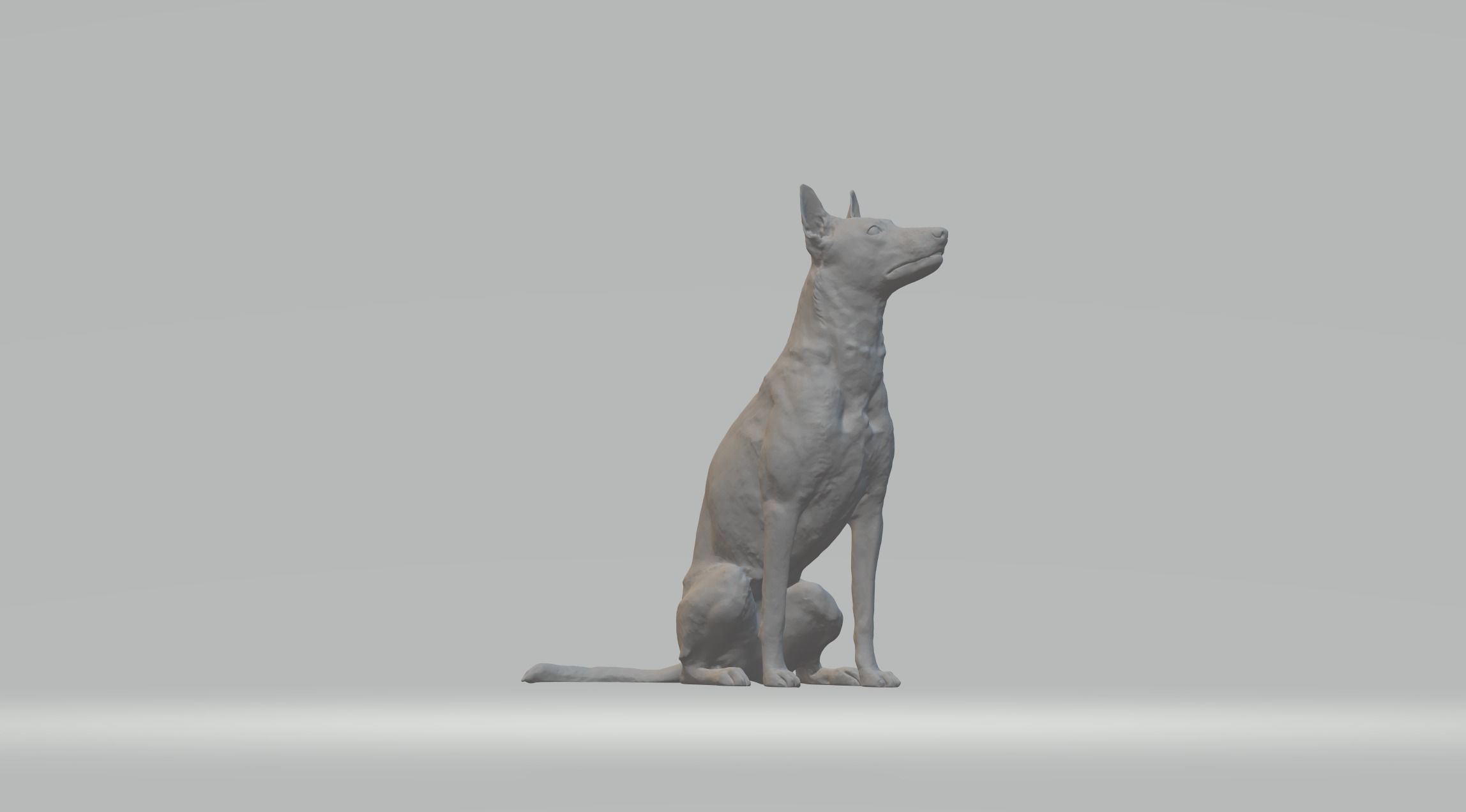 Pharaoh Hound 3D print model_7