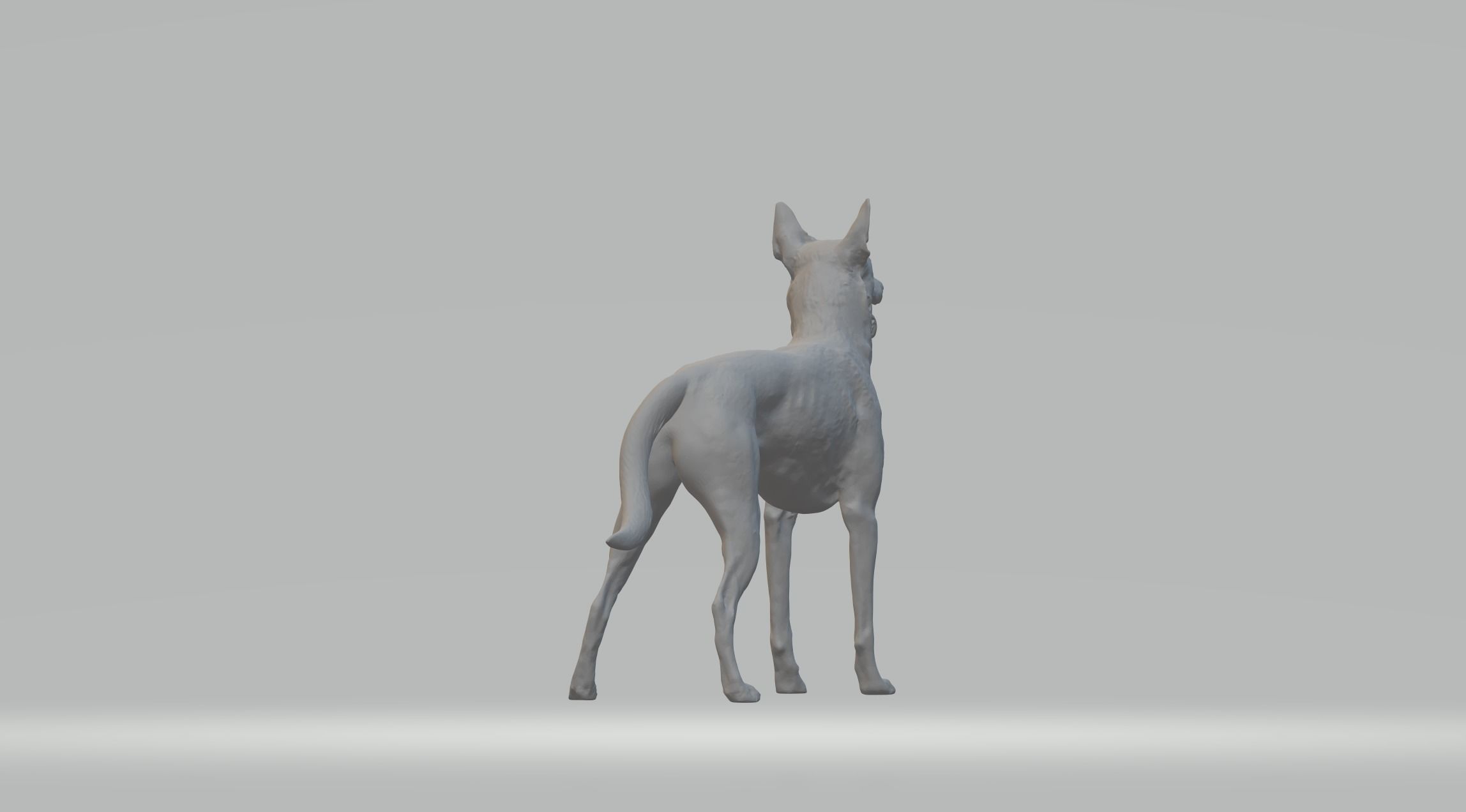 Pharaoh Hound 3D print model_6