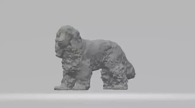 English Cocker Spaniel 