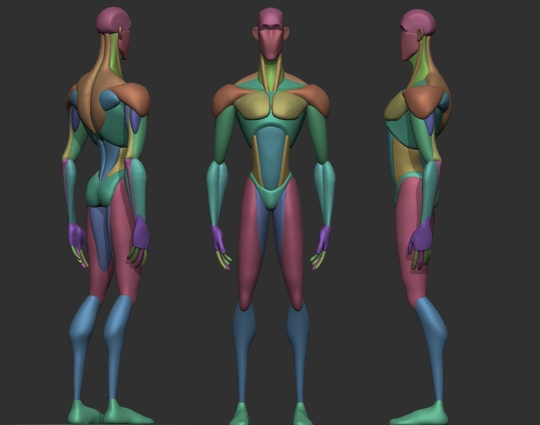 3d Clean Male Blockout No1 3D model_6