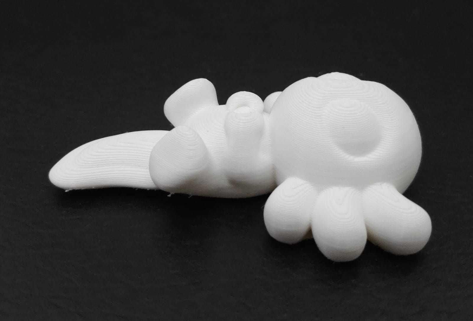 Axolotl Heart hand 3D print model_6