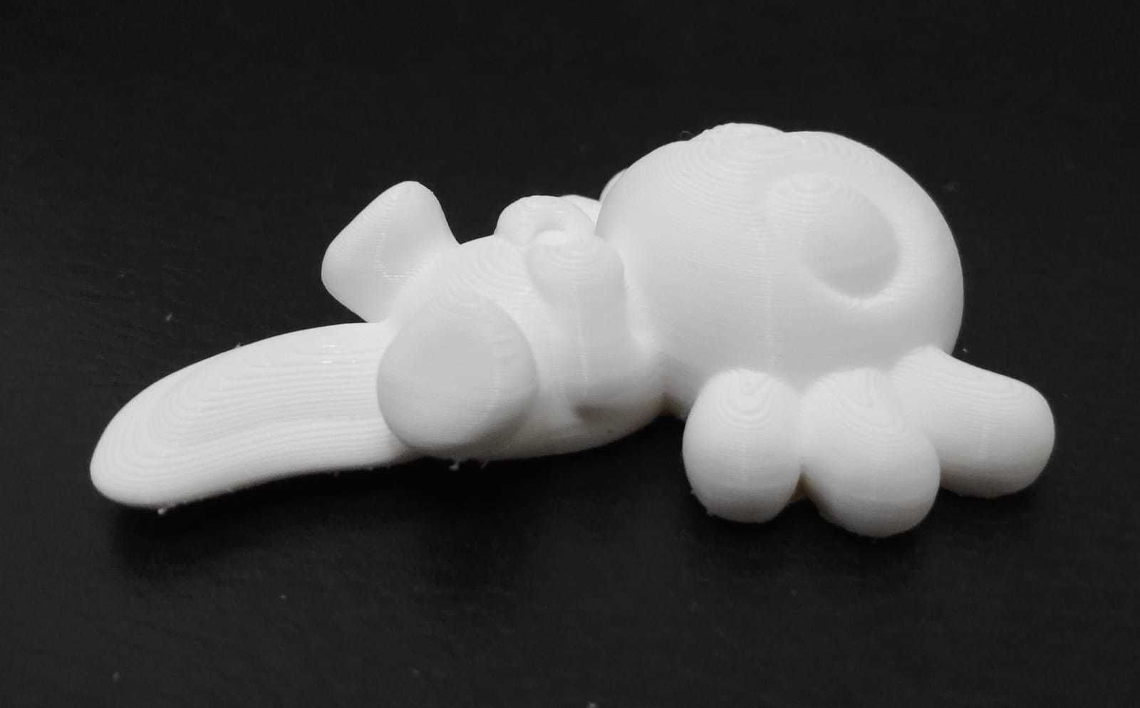 Axolotl Heart hand 3D print model_5