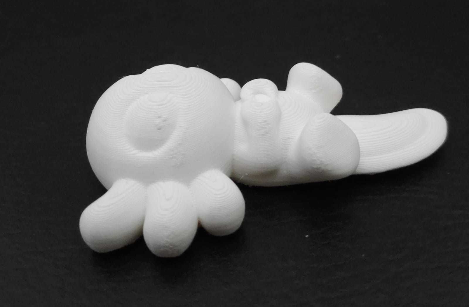 Axolotl Heart hand 3D print model_10