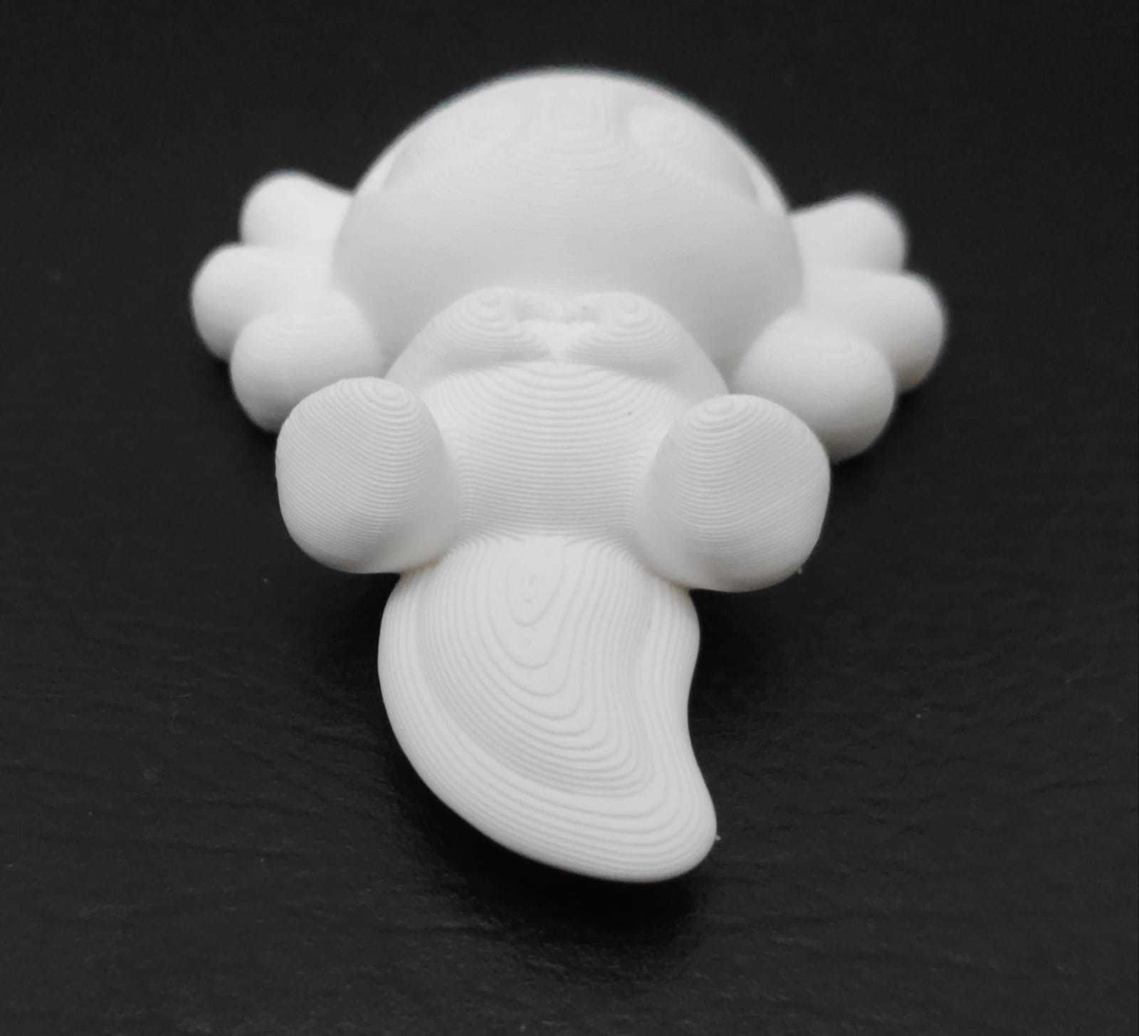 Axolotl Heart hand 3D print model_12
