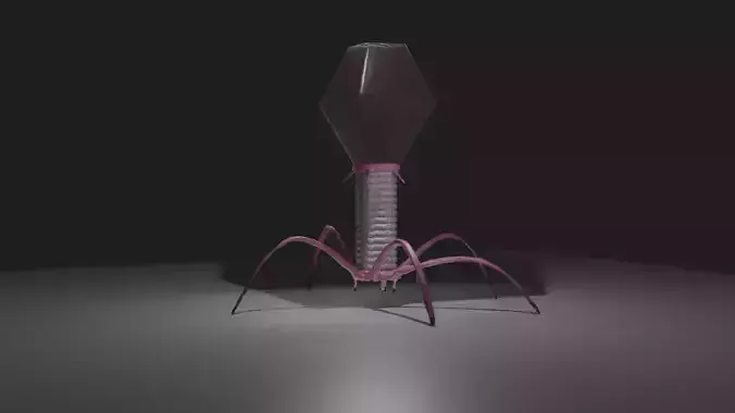 Bacteriophage The Virus which infects Bactria