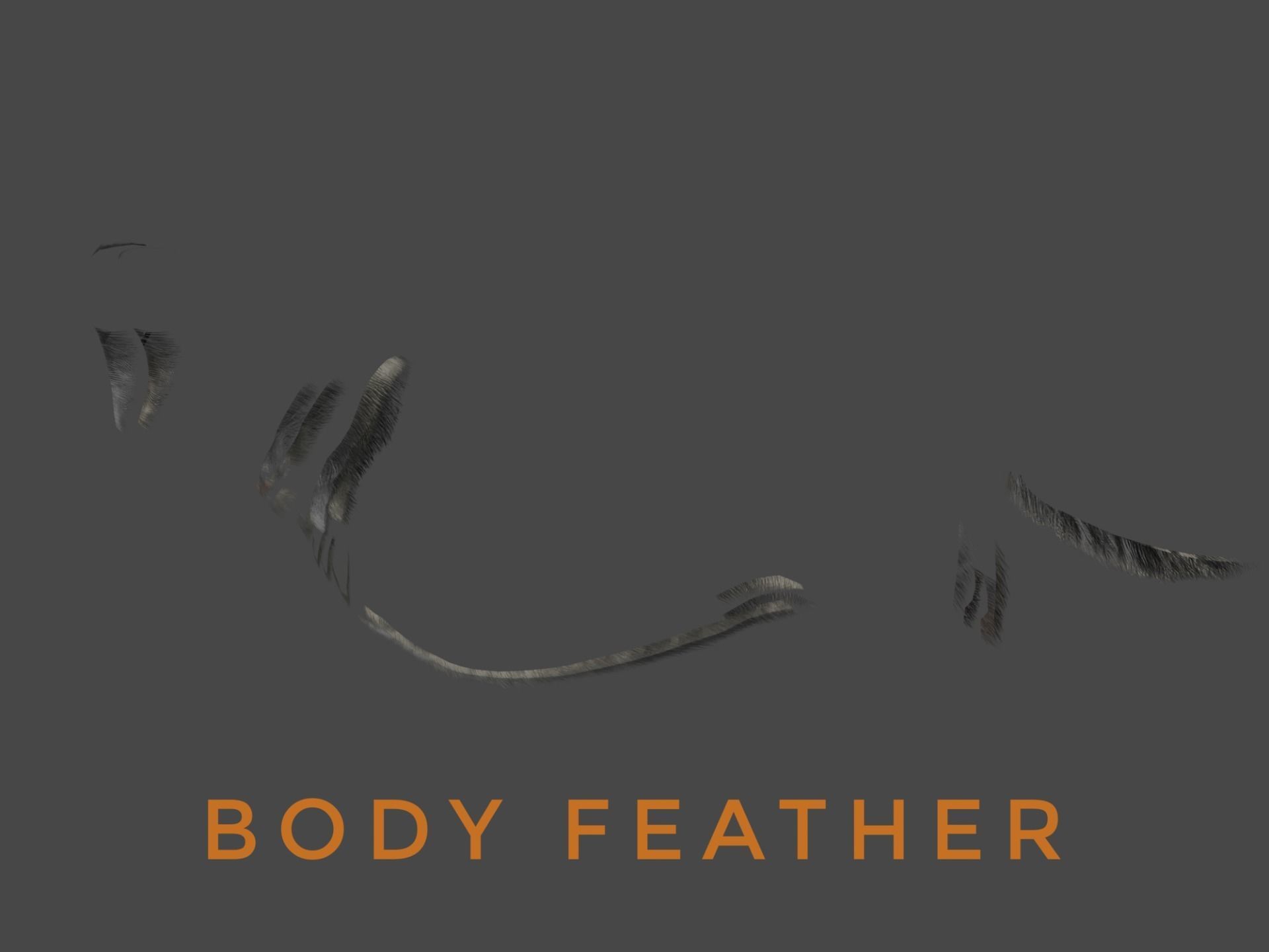 DOG - ROTTWEILER Low-poly 3D model_8