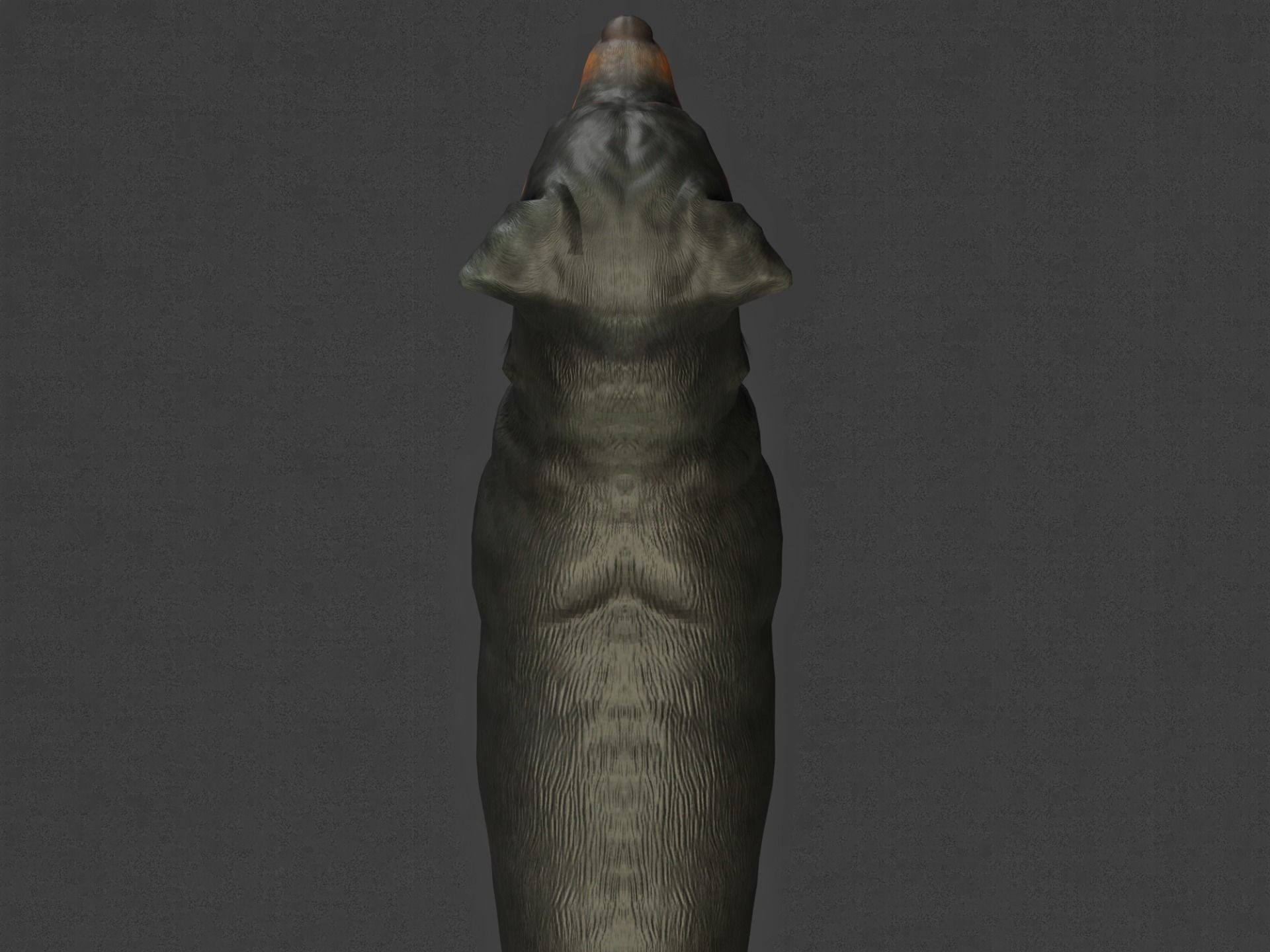 DOG - ROTTWEILER Low-poly 3D model_16