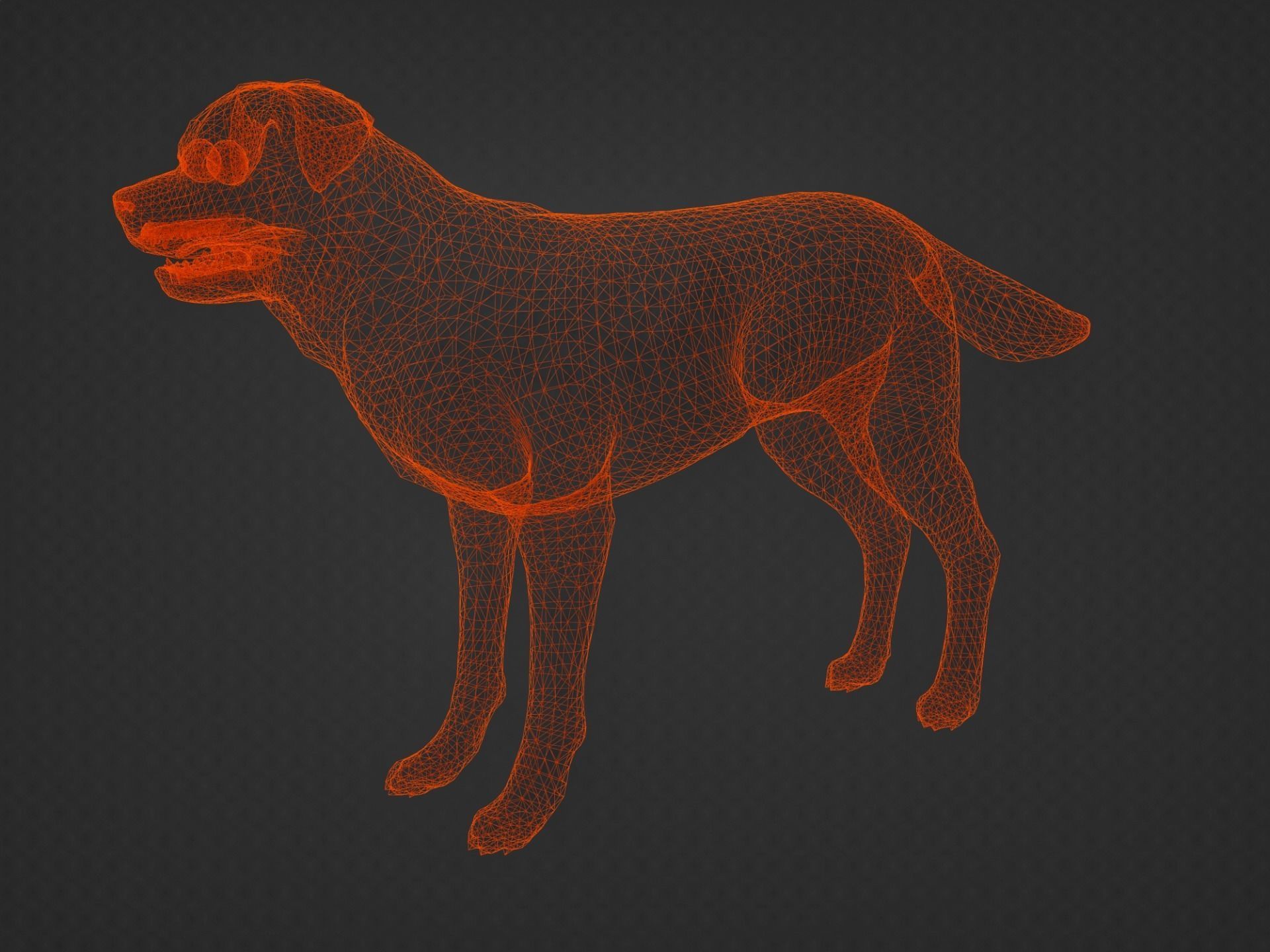 DOG - ROTTWEILER Low-poly 3D model_3