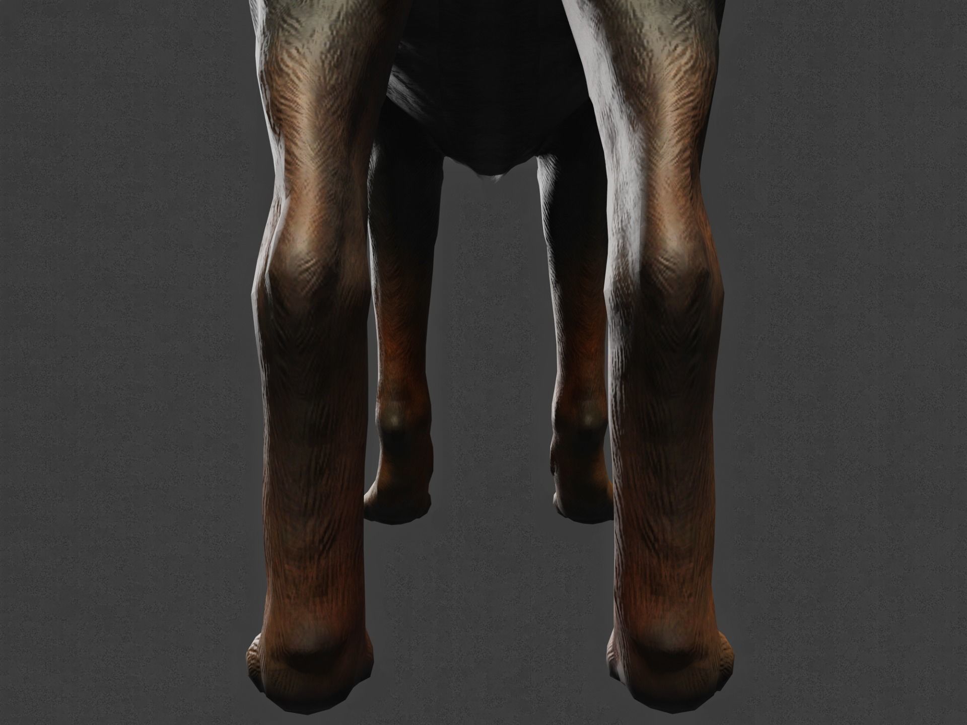 DOG - ROTTWEILER Low-poly 3D model_10