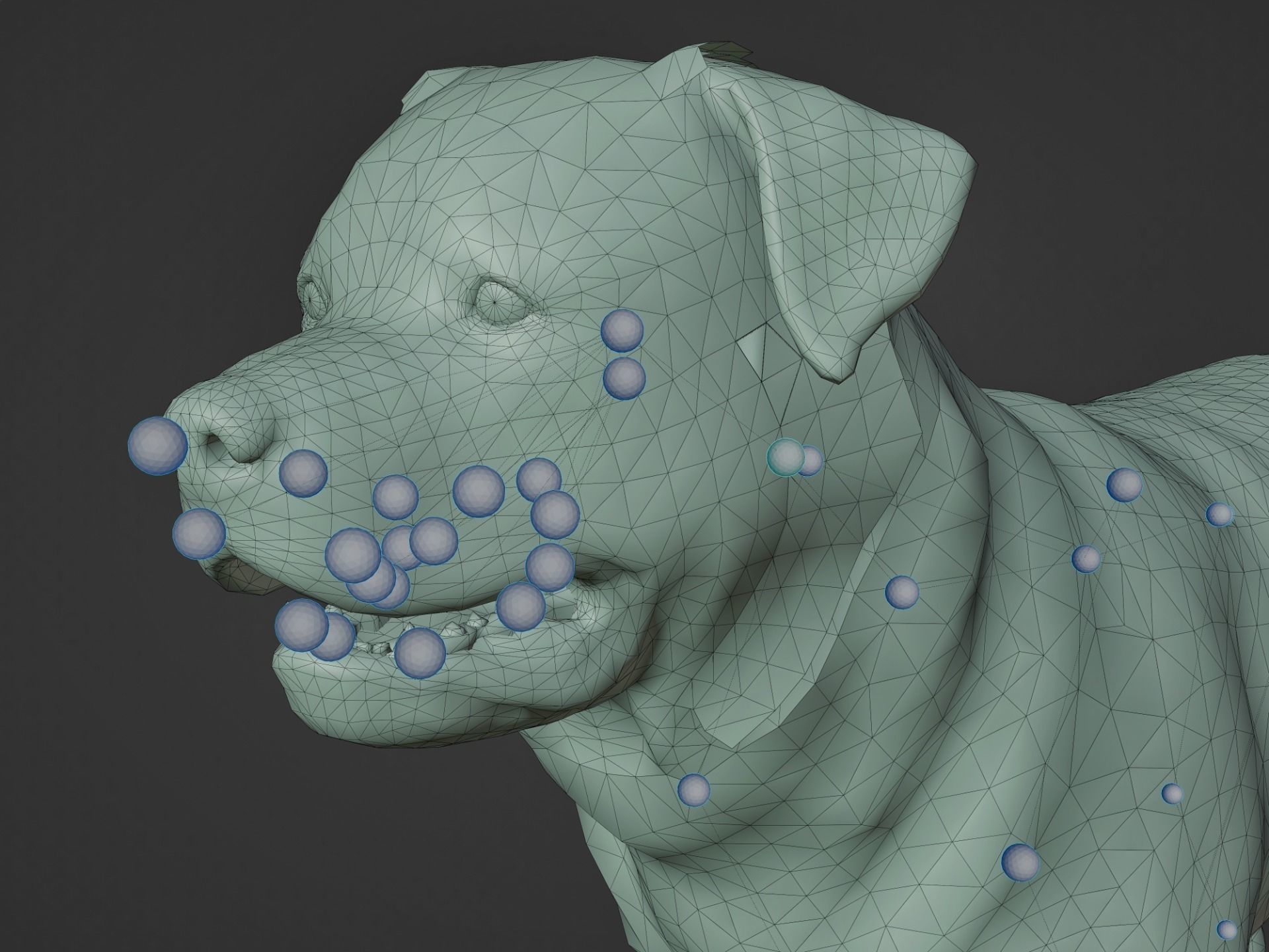 DOG - ROTTWEILER Low-poly 3D model_5