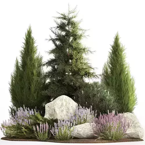Alpine slide with thuja spruce lavender bushes and stones 1194