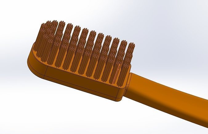 Toothbrush with handle 3D model