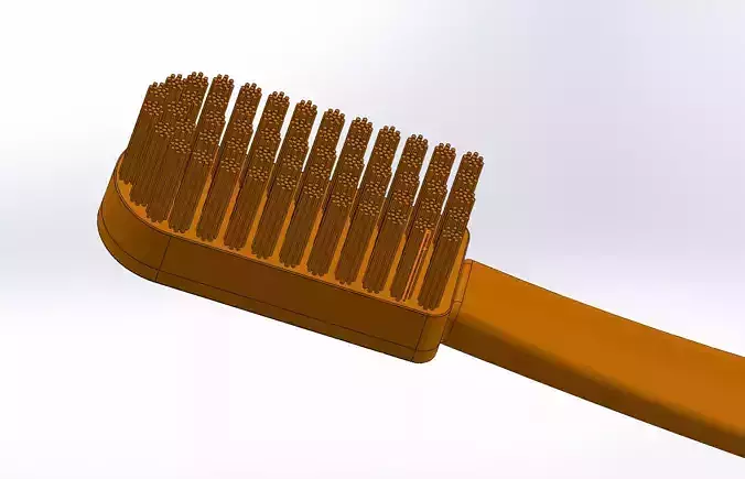Toothbrush with handle 3D model