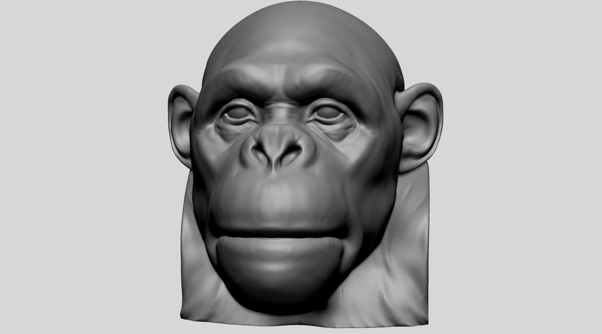 Chimp Head 3D model_7