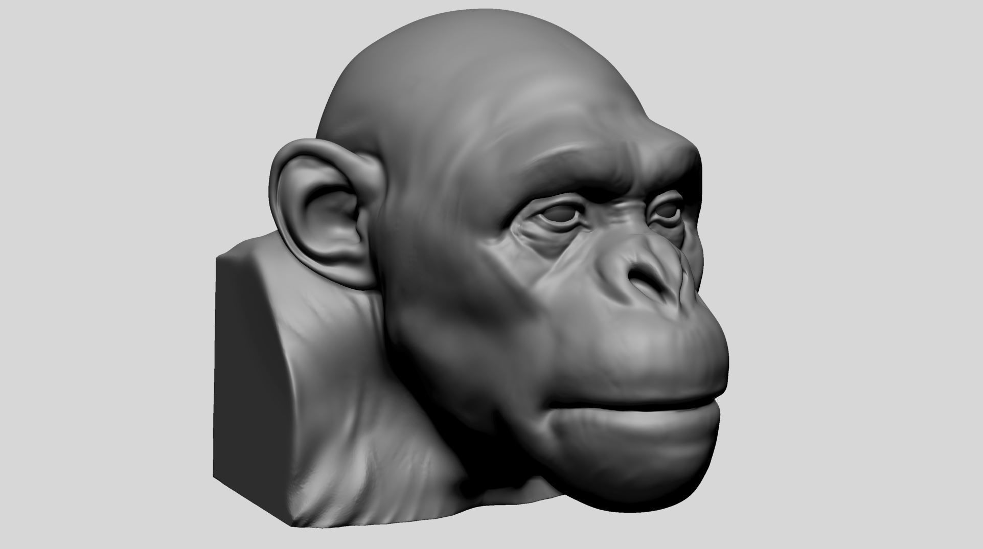 Chimp Head 3D model_1