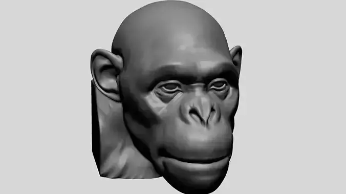Chimp Head 