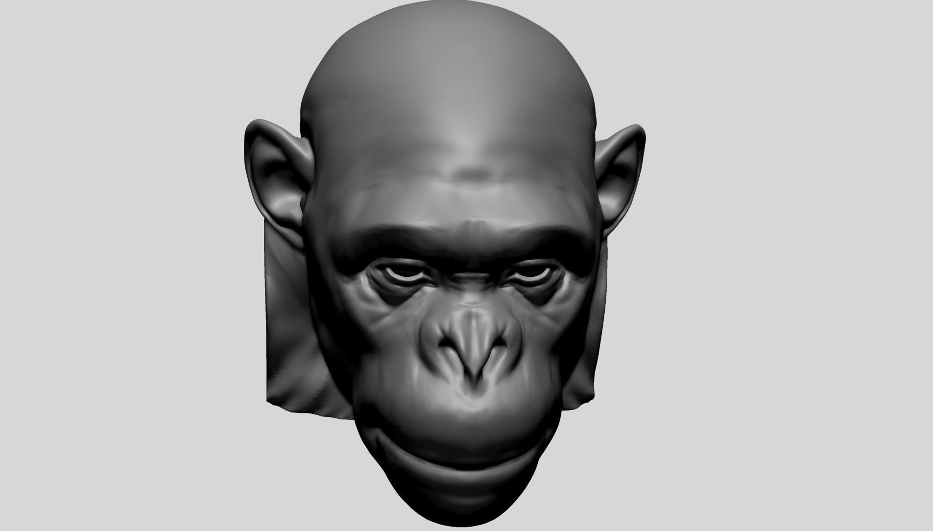 Chimp Head 3D model_9