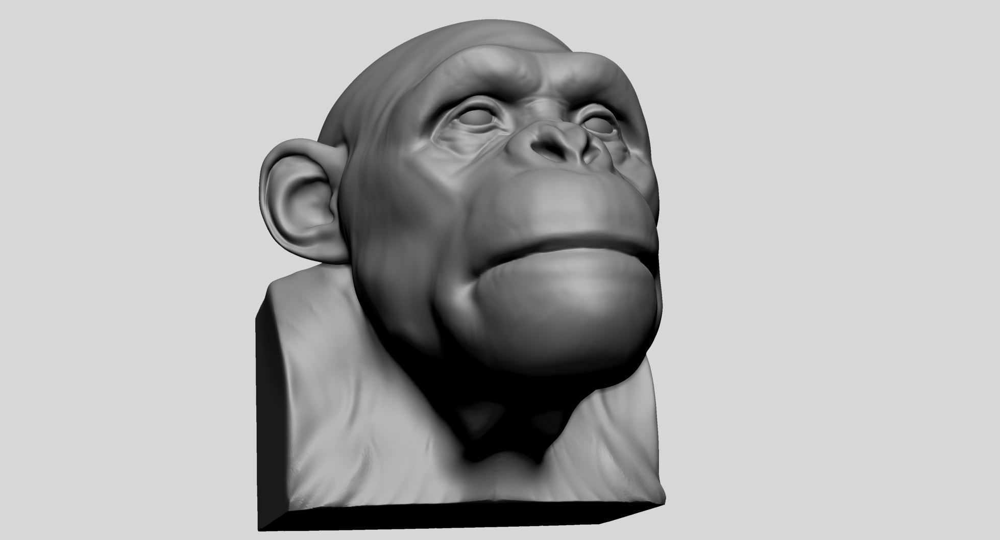 Chimp Head 3D model_8