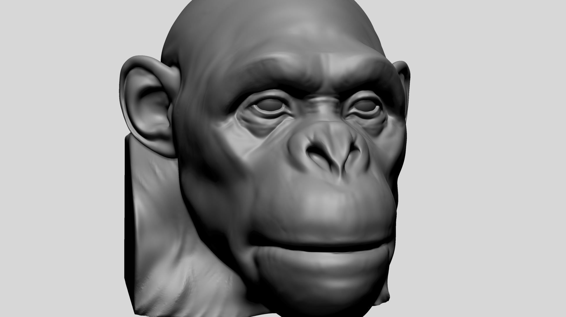 Chimp Head 3D model_10