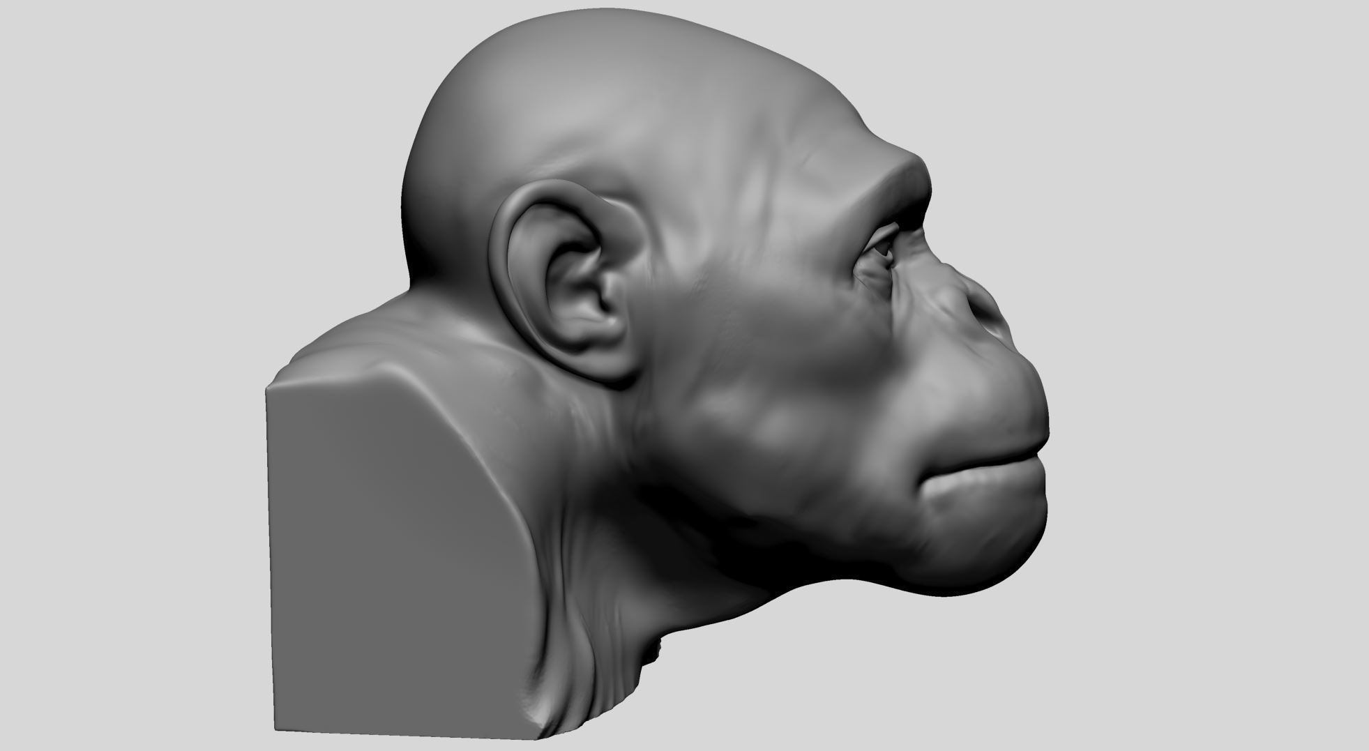 Chimp Head 3D model_2
