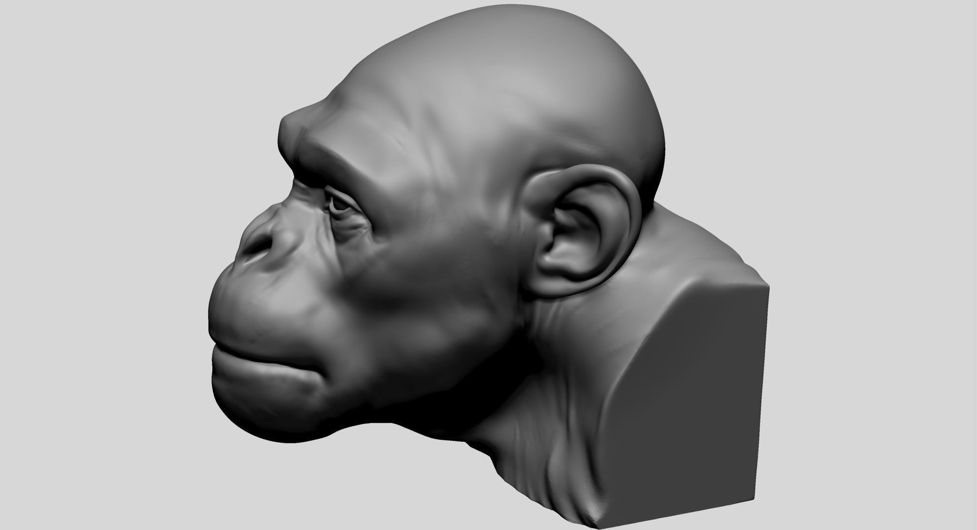 Chimp Head 3D model_6