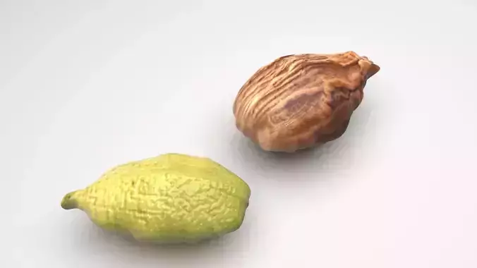 Green and Brown Cardamom