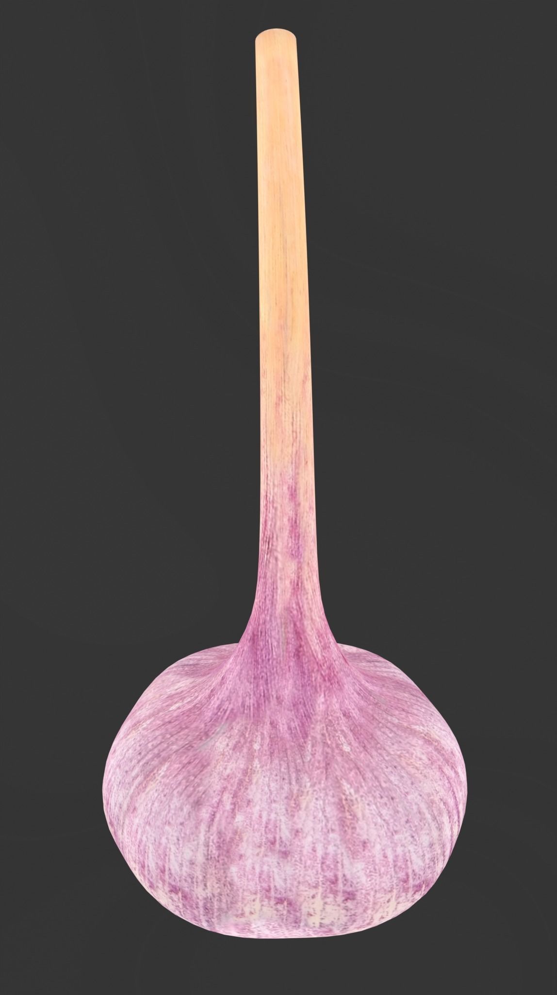 Vegetables set 1  3D model_5