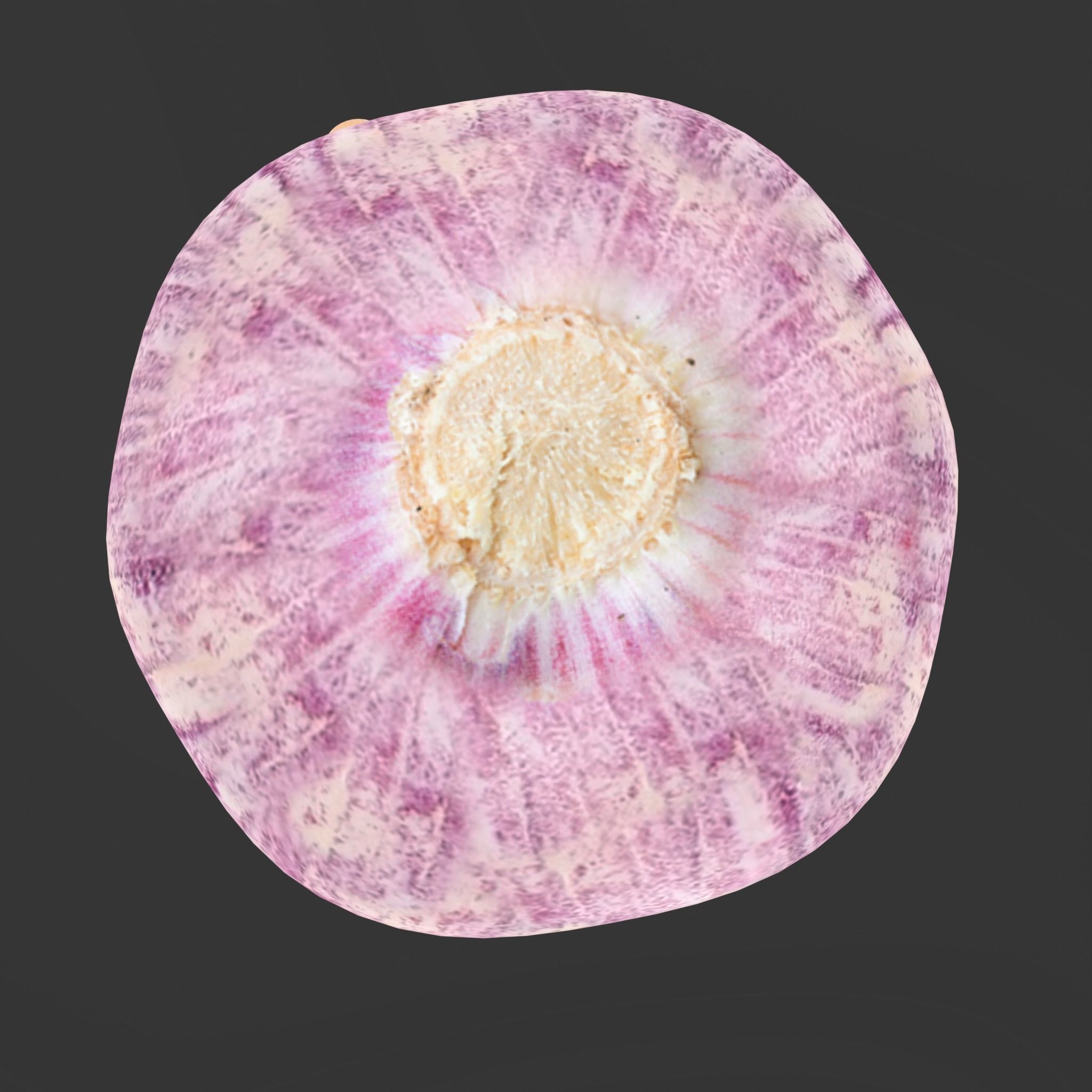 Vegetables set 1  3D model_7