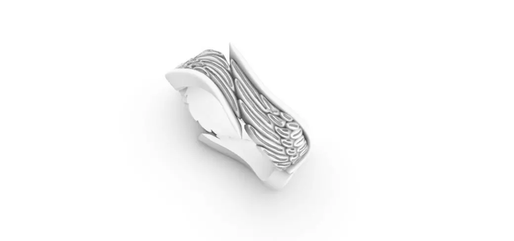 wings ring 3D print model