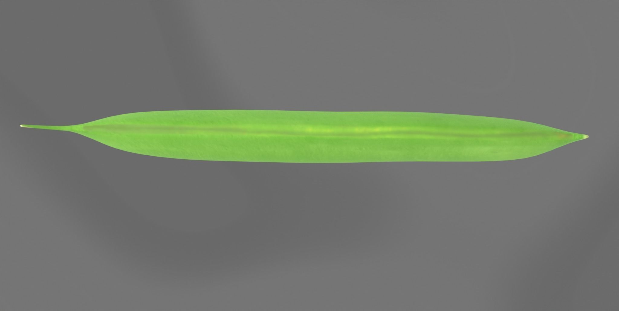 Vegetables set 2  3D model_4