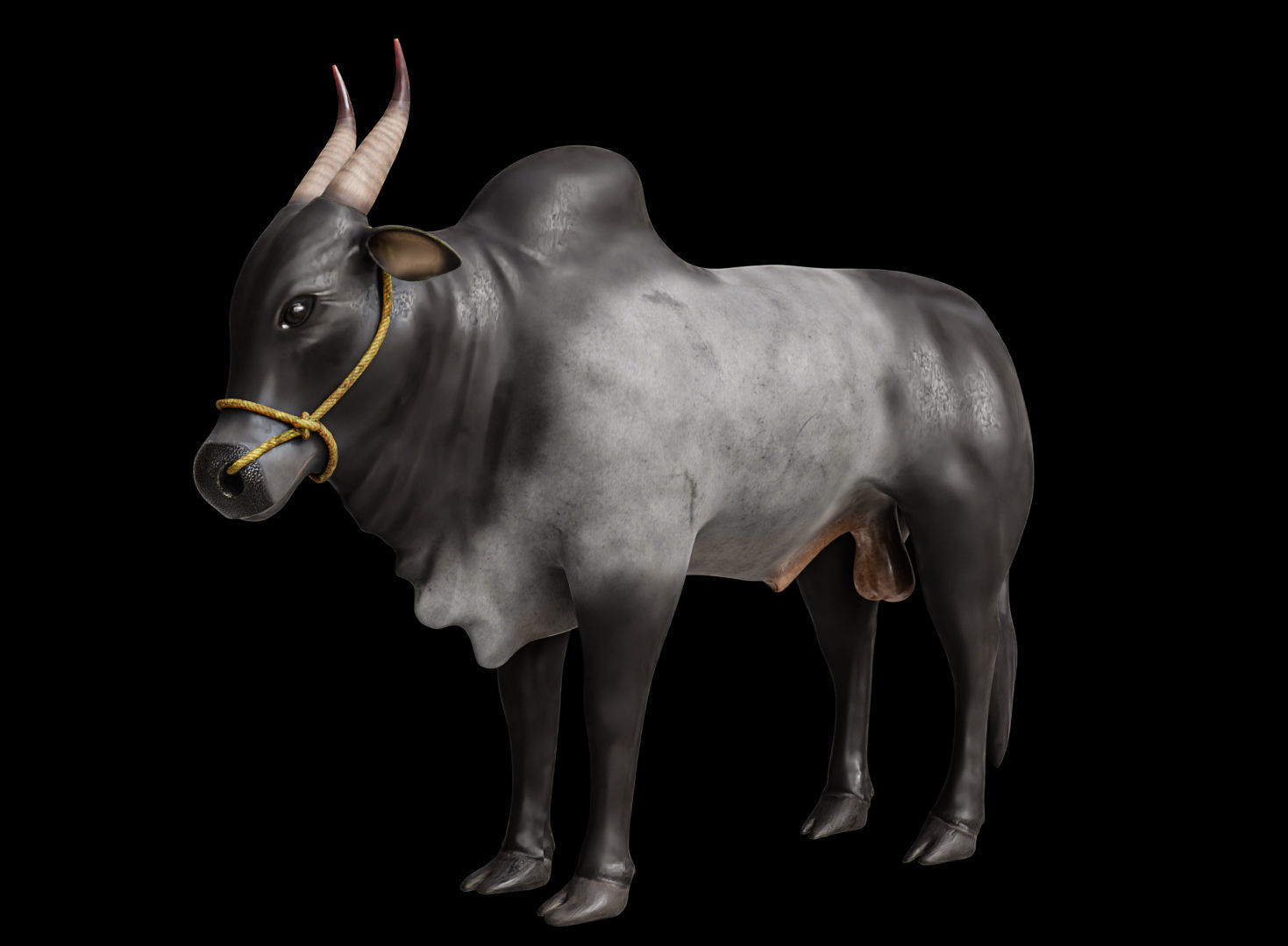 Kangayam Bull Game Ready model  Low-poly 3D model_1