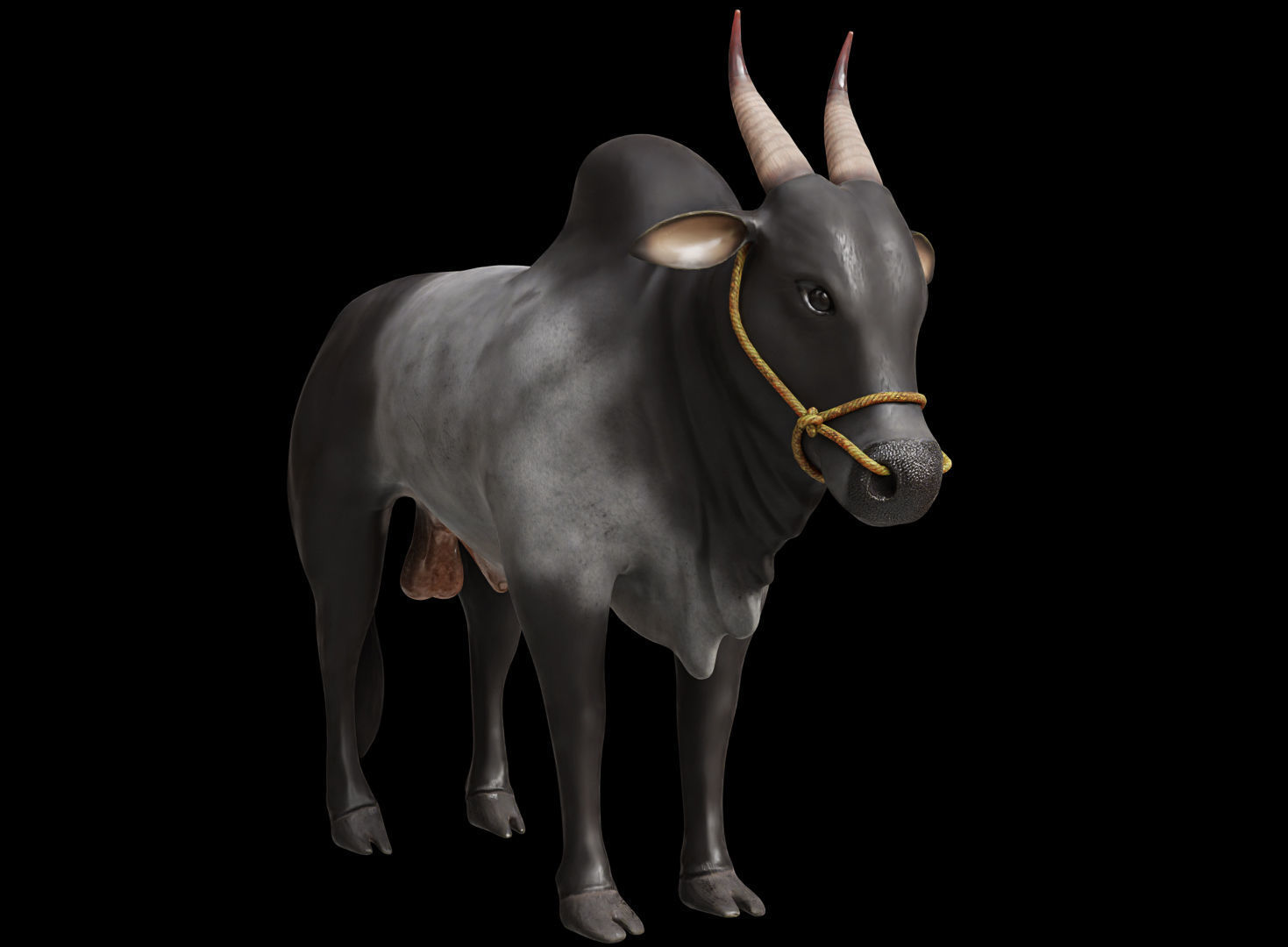 Kangayam Bull Game Ready model  Low-poly 3D model_2