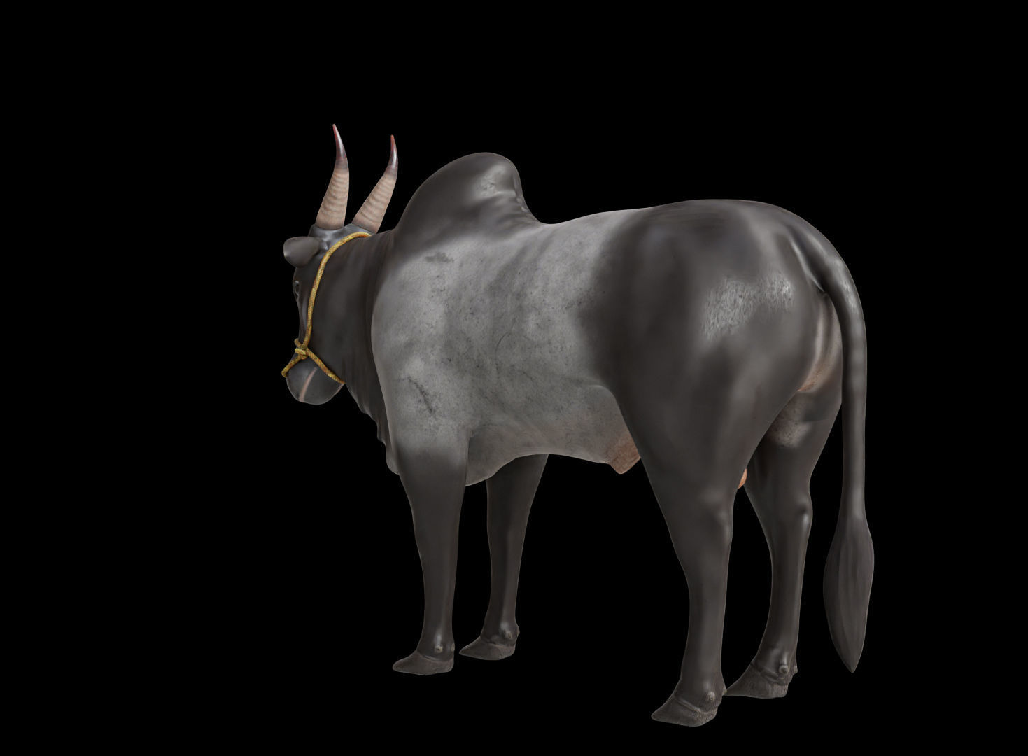 Kangayam Bull Game Ready model  Low-poly 3D model_3